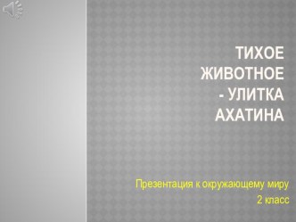 Презентация по окружающему миру на тему Тихое животное- улитка Ахатина