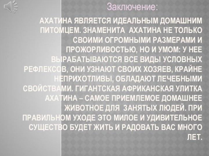 Ахатина является идеальным домашним питомцем. Знаменита Ахатина не только своими огромными размерами