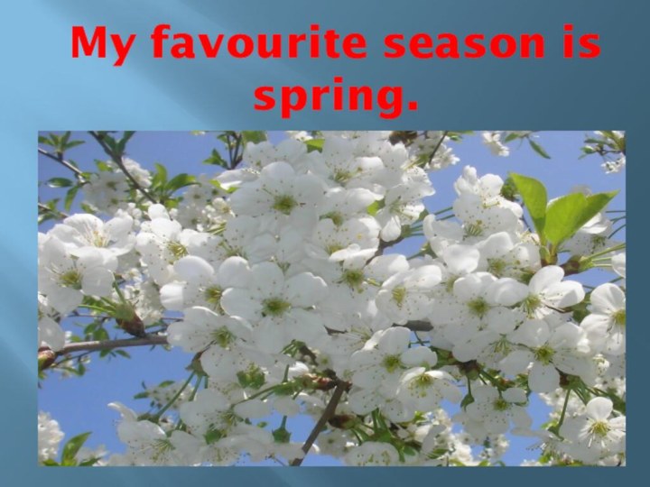 My favourite season is spring.