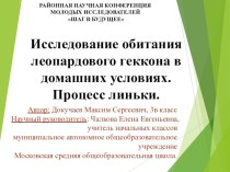 Исследовательская работа Исследование обитания леопардового геккона в домашних условиях. Процесс линьки