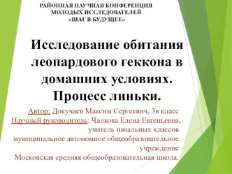 Исследовательская работа Исследование обитания леопардового геккона в домашних условиях. Процесс линьки