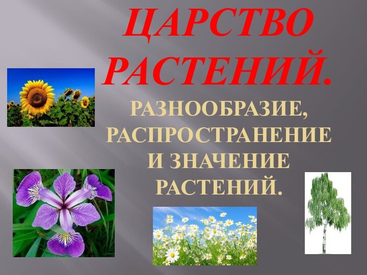 Царство Растений. Разнообразие, распространение и значение растений.