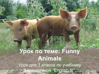 Презентация для внеклассного занятия по английскому языку на тему funny animals