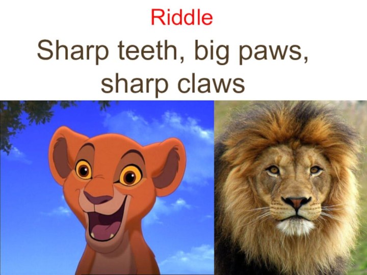 Riddle Sharp teeth, big paws, sharp claws