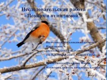 Презентация исследовательской работы на тему: Зимующие птицы нашего края