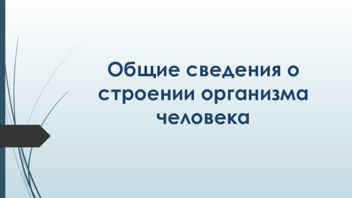 Общие сведения о строении организма человека