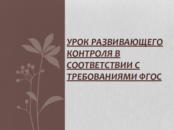 Урок развивающего контроля в соответствии с требованиями ФГОС