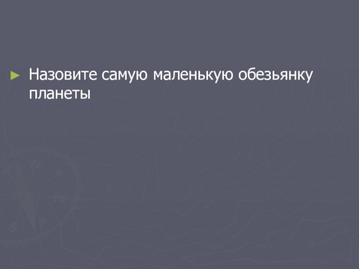 Назовите самую маленькую обезьянку планеты