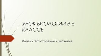 Презентация по биологии на тему Корень (6 класс)