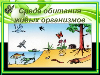 Презентация по биологии, 5 класс Среда обитания живых организмов