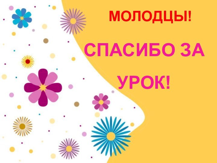 СПАСИБО ЗА УРОК!МОЛОДЦЫ!