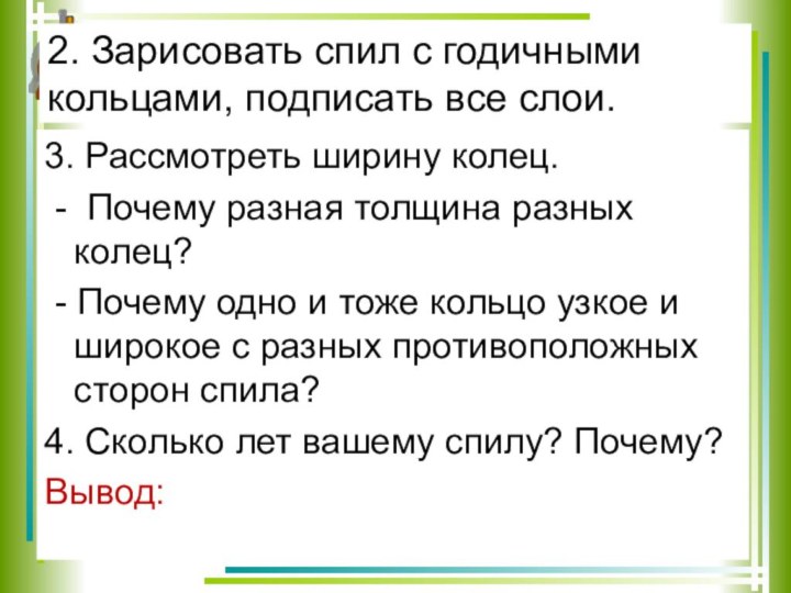 2. Зарисовать спил с годичными кольцами, подписать все слои.3. Рассмотреть ширину колец.