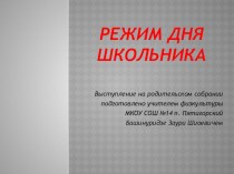 Презентация к выступлению на родительском собрании