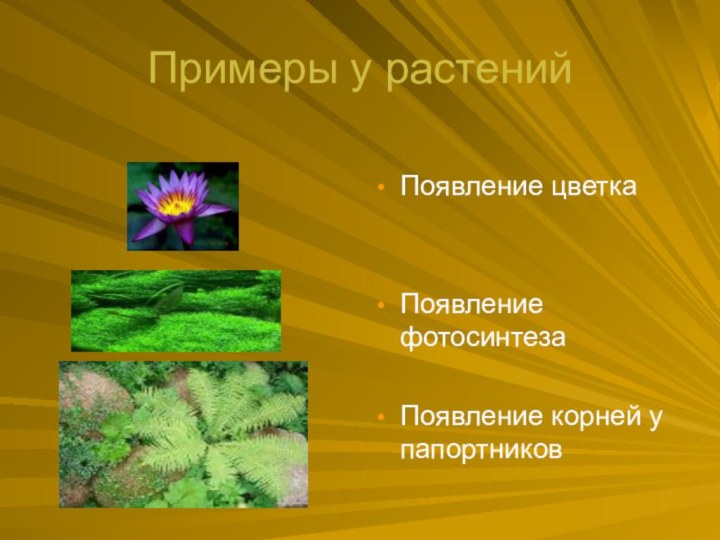 Примеры у растенийПоявление цветкаПоявление фотосинтезаПоявление корней у папортников