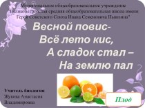 Презентация по биологии на тему: Плоды. Значение плодов (6 класс)