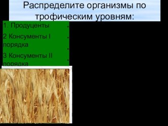 Презентация к уроку Состав и структура сообщества, 9 класс