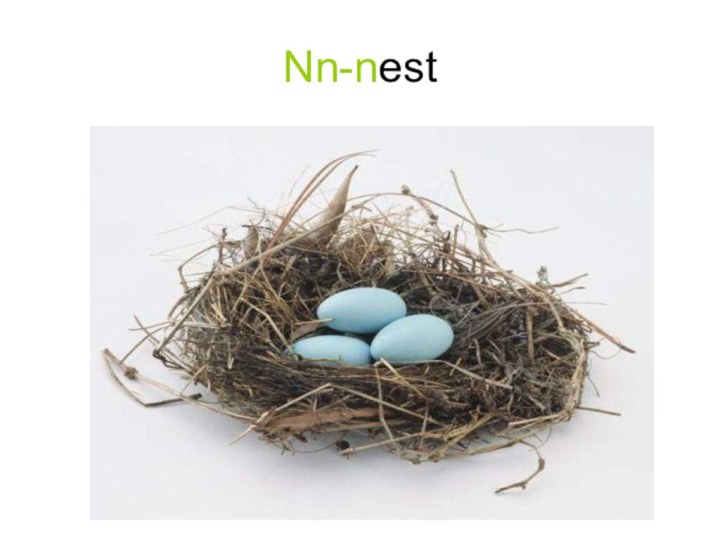 Nn-nest