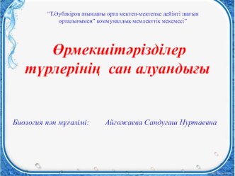 Презентация по биологии на тему Өрмекшітәрізділердің сан алуандылығы