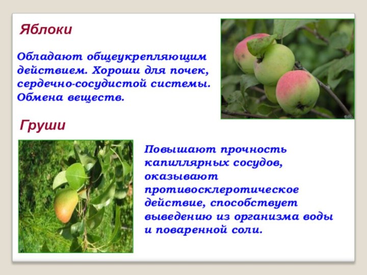 ЯблокиОбладают общеукрепляющим действием. Хороши для почек, сердечно-сосудистой системы. Обмена веществ.ГрушиПовышают прочность
