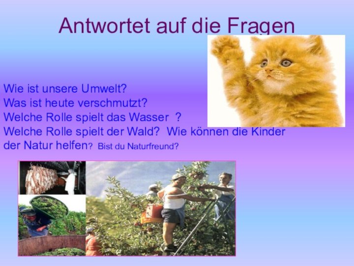 Antwortet auf die FragenWie ist unsere Umwelt?Was ist heute verschmutzt?Welche Rolle spielt