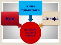 Презентация по биология на тему  Организмнің ішкі ортасы 8класс