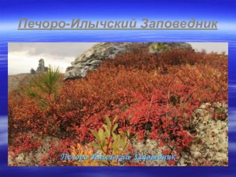 Презентация по окружающему миру на тему Печоро-Илычский заповедник