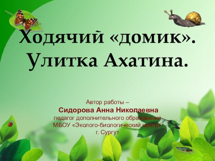 Ходячий «домик». Улитка Ахатина.Автор работы –  Сидорова Анна Николаевна педагог дополнительного