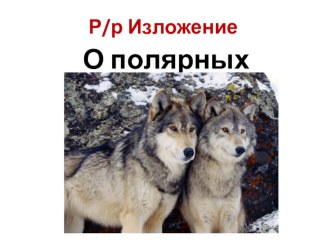 Презентация к уроку развития речи. Изложение О полярных волках по книге Ф.Моуэта  Осторожно, волки!