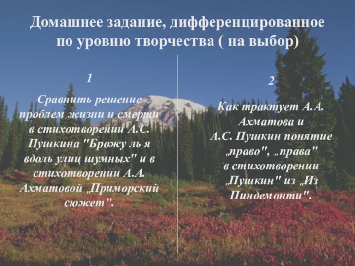 Домашнее задание, дифференцированное по уровню творчества ( на выбор)1Сравнить решение проблем жизни