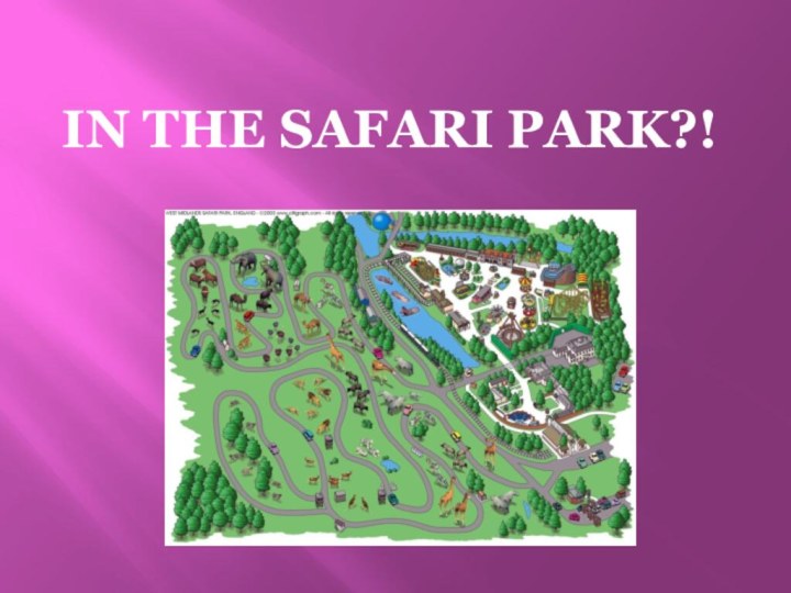 In the safari park?!