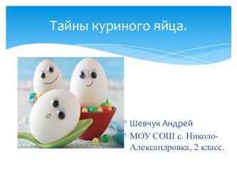 Презентация Тайны куриного яйца