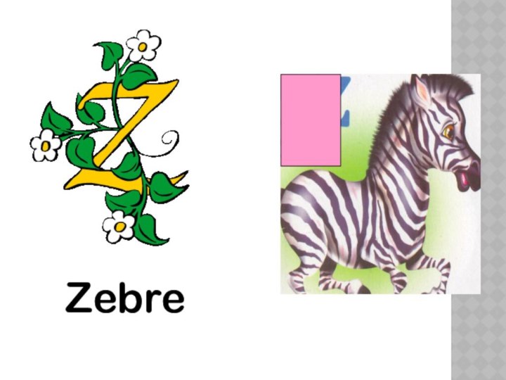 Zebre