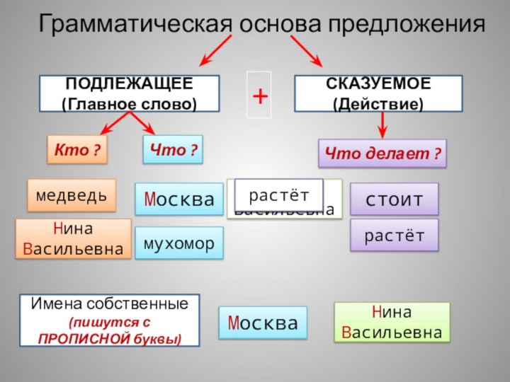 Грамматическая основа предложенияПОДЛЕЖАЩЕЕ(Главное слово)СКАЗУЕМОЕ(Действие)+Кто ?Что ?Что делает ?МоскваМосквамедведьмедведьНина ВасильевнамухоморНина ВасильевнастоитстоитмухоморрастётрастётИмена