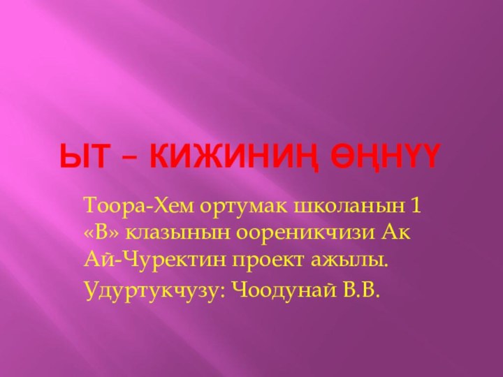 Ыт – кижиниң өңнүүТоора-Хем ортумак школанын 1 «В» клазынын оореникчизи Ак Ай-Чуректин