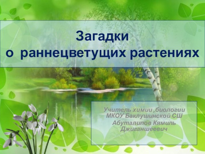 Загадки  о раннецветущих растенияхУчитель химии ,биологии МКОУ Баклушинской СШ Абуталипов Кямиль Джиганшеевич 