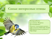 Презентация по окружающему миру Самые интересные птицы