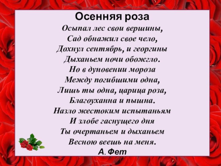 Осенняя розаОсыпал лес свои вершины,Сад обнажил свое чело,Дохнул сентябрь, и георгиныДыханьем ночи