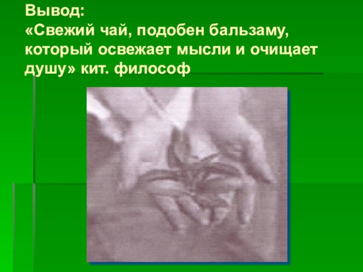 Вывод:  «Свежий чай, подобен бальзаму, который освежает мысли и очищает душу» кит. философ