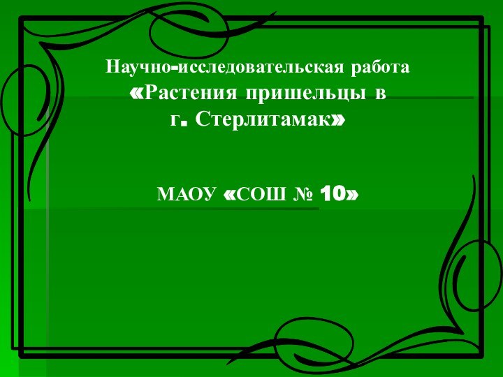 Научно-исследовательская работа «Растения пришельцы в  г. Стерлитамак»