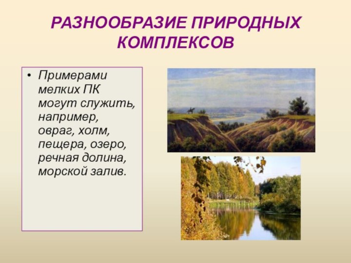 РАЗНООБРАЗИЕ ПРИРОДНЫХ КОМПЛЕКСОВПримерами мелких ПК могут служить, например, овраг, холм, пещера, озеро, речная долина, морской залив.