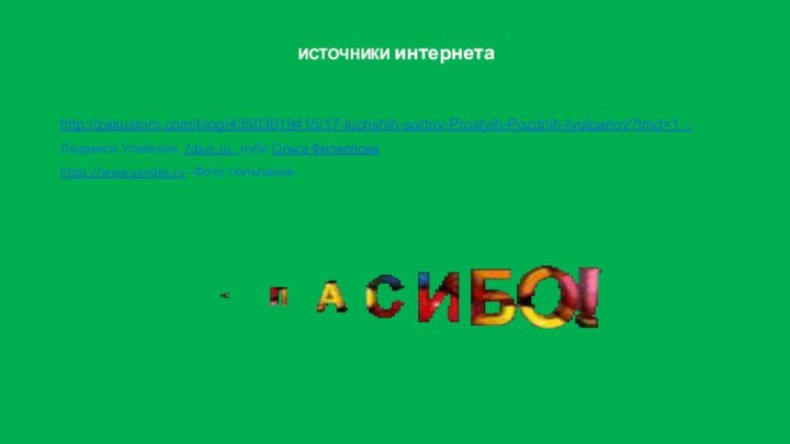 http://zakustom.com/blog/43503919415/17-luchshih-sortov-Prostyih-Pozdnih-tyulpanov?tmd=1 –Людмила Улейская, 7dach.ru , публ Ольга Филиппова https://www.yandex.ru –Фото тюльпанов.ИСТОЧНИКИ интернета