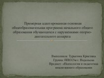 Презентация по теме:Примерная адаптированная основная общеобразовательная программа начального общего образования обучающихся с нарушениями опорно-двигательного аппарата