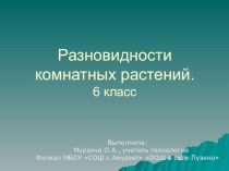 Презентация Разновидности комнатных растений.