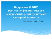 Презентация Коррекция ФФНР средствами сенсорной комнаты