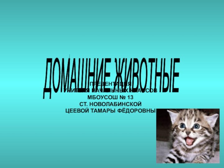 ДОМАШНИЕ ЖИВОТНЫЕ ПРЕЗЕНТАЦИЯ УЧИТЕЛЯ НАЧАЛЬНЫХ КЛАССОВ МБОУСОШ № 13 СТ. НОВОЛАБИНСКОЙ ЦЕЕВОЙ ТАМАРЫ ФЁДОРОВНЫ