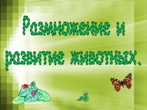 Презентация Размножение и развитие животных