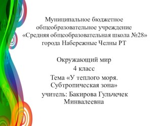 Презентация к уроку по окружающего мира на тему У теплого моря. Субтропическая зона (4 класс)