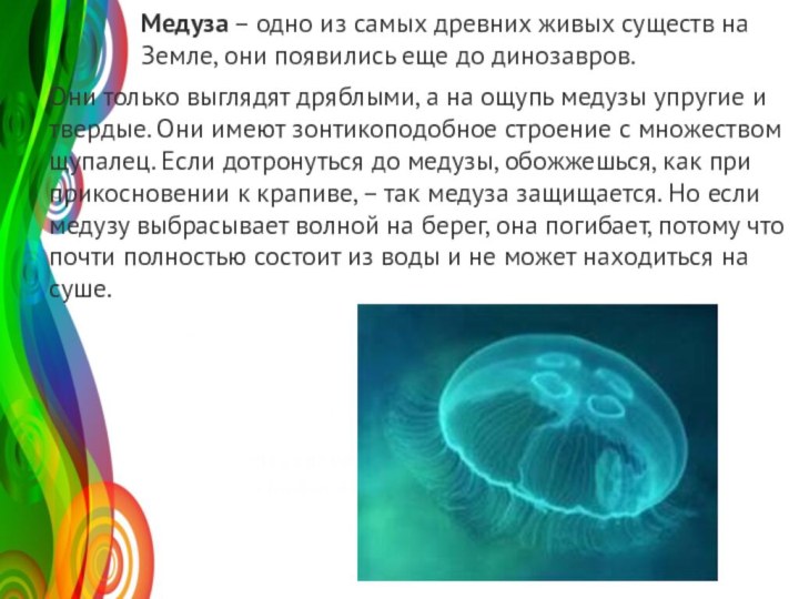 Название графика20082009201020113050120Ме­ду­за – одно из самых древ­них живых су­ществ на Земле, они по­яви­лись