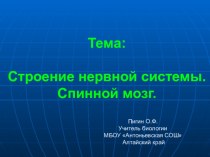 Презентация по биологии для 8 класса: Нервная система. Спинной мозг.