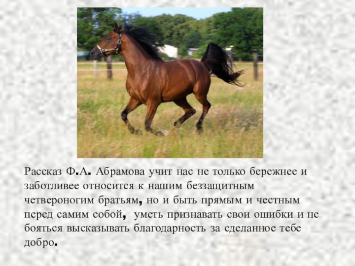 Рассказ Ф.А. Абрамова учит нас не только бережнее и заботливее относится к